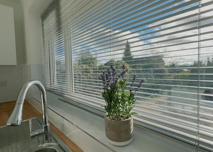 Cloud Green Apartment